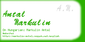 antal markulin business card